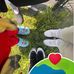 Jazmine Westfall - Facebook
