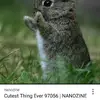 Jasmine Whitley - @bunnylover313 - TikTok