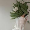Winter jasmine - @winter.jasmine6 - TikTok