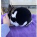 Jasmine Workman - Facebook