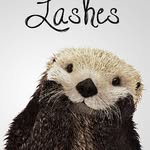 Jasmine Wray / Otterly Lashes - @otterlylashes - Instagram