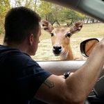 Jason Abernethy - @jason32677 - Instagram