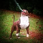 jason wade abney sr. - @jasonabney78 - Instagram