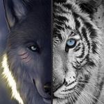 Jason Aitken - @jasonaitken098 - Instagram