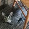 Jason Alger - @jasonalger2 - TikTok