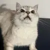 Jason Allgood - @jason.allgood - TikTok