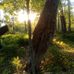 Jason Ansell - Facebook