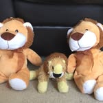 JasonAndRachel16 - @jasonandrachel16 - Instagram
