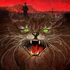Jason Andreoni - @jason_and - TikTok