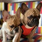 @jason_and_ronald - Instagram