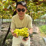 Jason Shao - @jasonape_shao - Instagram