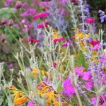 Jason Sylvan - @jason_and_the_gardenauts - Instagram