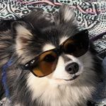 Jason Armes - @jason.armes - Instagram