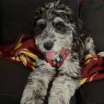 Jason Arnett - @jarnettatc - Instagram