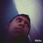 Jason Master Chinchilla - @jasonmasterchinchilla - Instagram