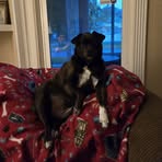 Jason Yates - Facebook