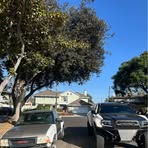 Jason Auxier - Facebook