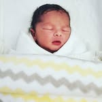 Jason Ayoub - @jayoub514 - Instagram