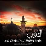 Jason Fakih - @jason.ayoub1 - Instagram