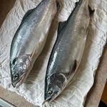 Jason Bachman - @jase321 - Instagram