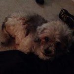 Jason Bagwell - @jason40274 - Instagram