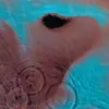Jason Bagwell - @jason.bagwell - TikTok