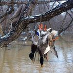 Jason Bagwell - @jason.bagwell.629 - Instagram
