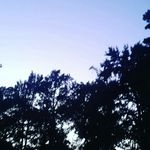Nobody - @jason_balderas10 - Instagram