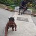 Jason Baptiste - Facebook