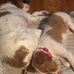 Jason Bartell - Facebook