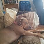 Jason Beard - @jasonbeard237 - Instagram