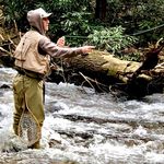Jason Beard - @beard4reel - Instagram