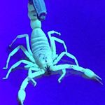 Jason Beaton - @jason.beaton.61 - Instagram
