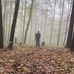 Jason Beauchamp - Facebook