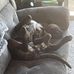 Jason Buckles - Facebook