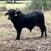 Jason Bedsole - Facebook