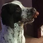 Jason Beer - @jason.beer.33 - Instagram