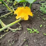 Jason Behm - @jason.behm.9 - Instagram