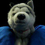 jason belanger - @animal__lover_1_2_3 - Instagram