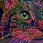 Jason Benner - @montanaavenger - Instagram