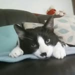 Jason Bennington - @jasonb22275 - Instagram