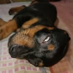Jason Bernards - Facebook