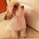 Jason Bernier - @bernier166 - Instagram