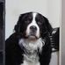 Jason Bernier - Facebook