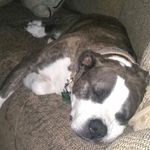 Jason bernier - @jasonbernier84 - Instagram