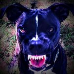 Jason Bertoglio - @jasonbertoglio - Instagram