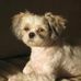Jason Berube - Facebook