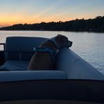 Jason Berube - @bore2berube - Instagram