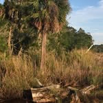 Jason Bessinger - @jbessinger2 - Instagram