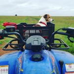 jasonbester07 - @jasonbester07 - Instagram